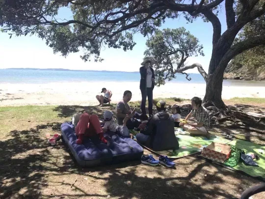 南极圈大事件,在南极圈我们做了什么