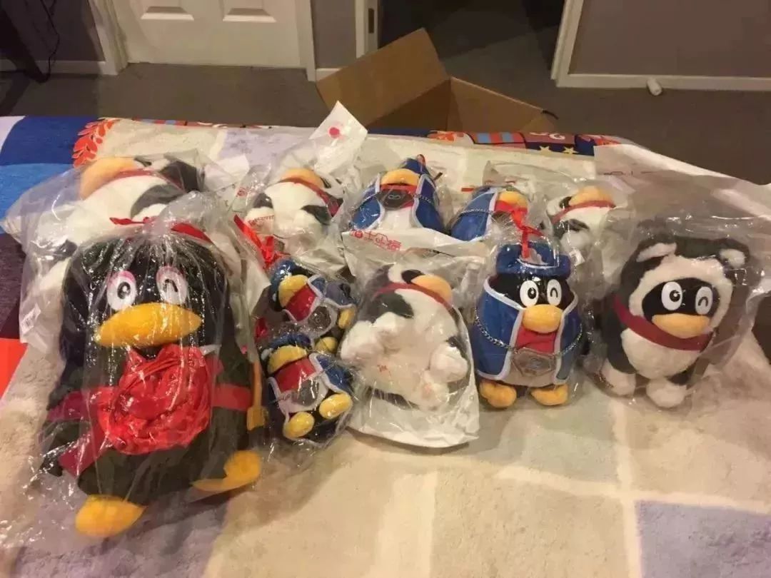 南极圈大事件,在南极圈我们做了什么