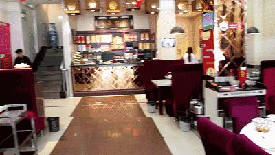 2058花乌鱼？新乡人再不补充胶原蛋白就要加入脱发大军啦！