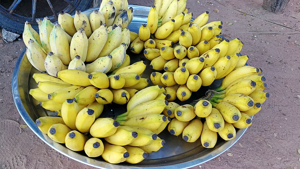 柬埔寨都有啥水果和特产,柬埔寨那些奇葩水果