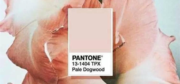 适合春天穿的小粉鞋,便宜又好看的少女心鞋