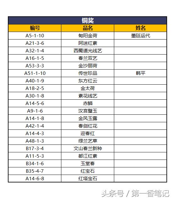 2020年云南兰花展获奖图片,2018年昆明兰花展精品图片