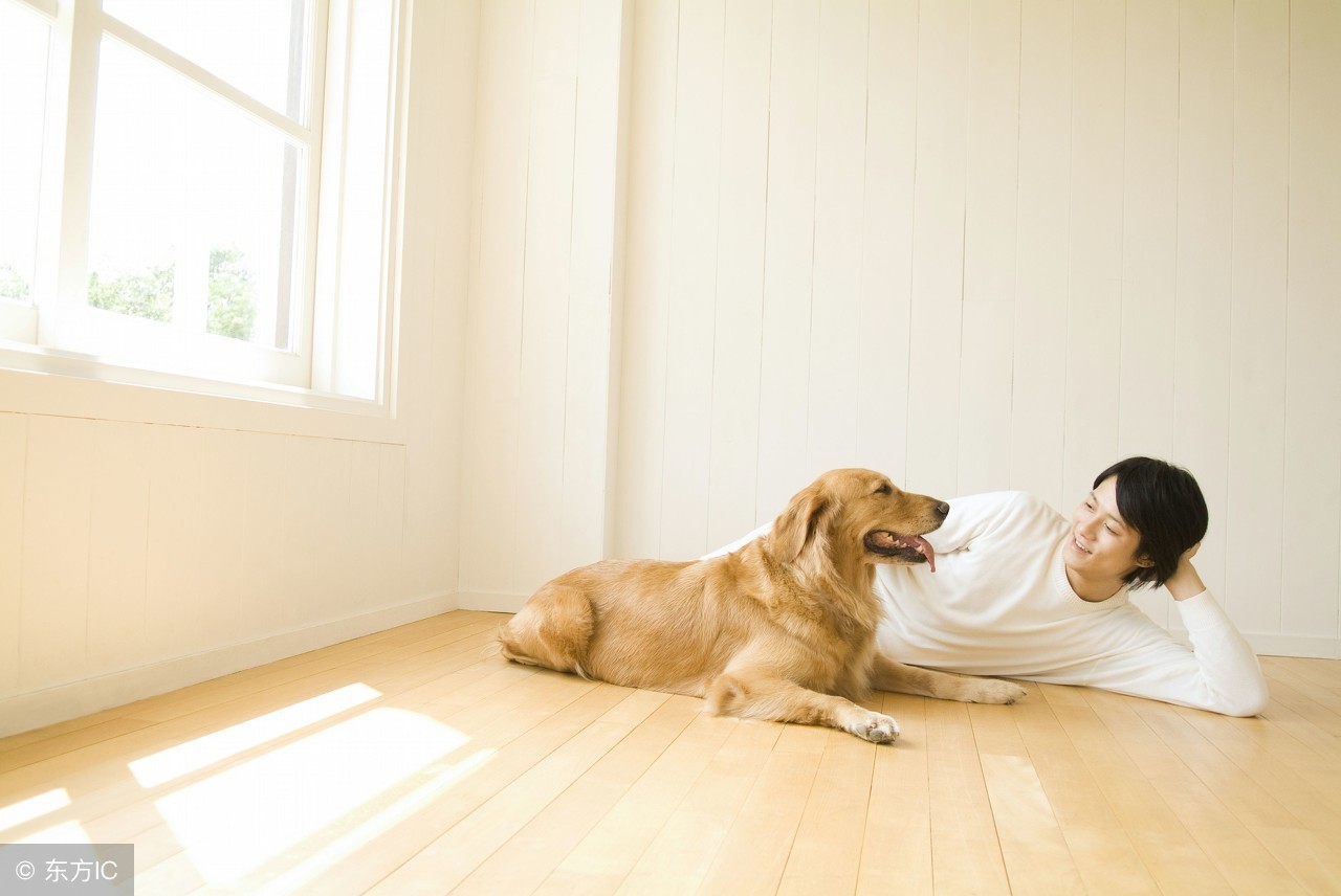 给狗的正确的洗澡方式,给狗洗澡的正确步骤冬天