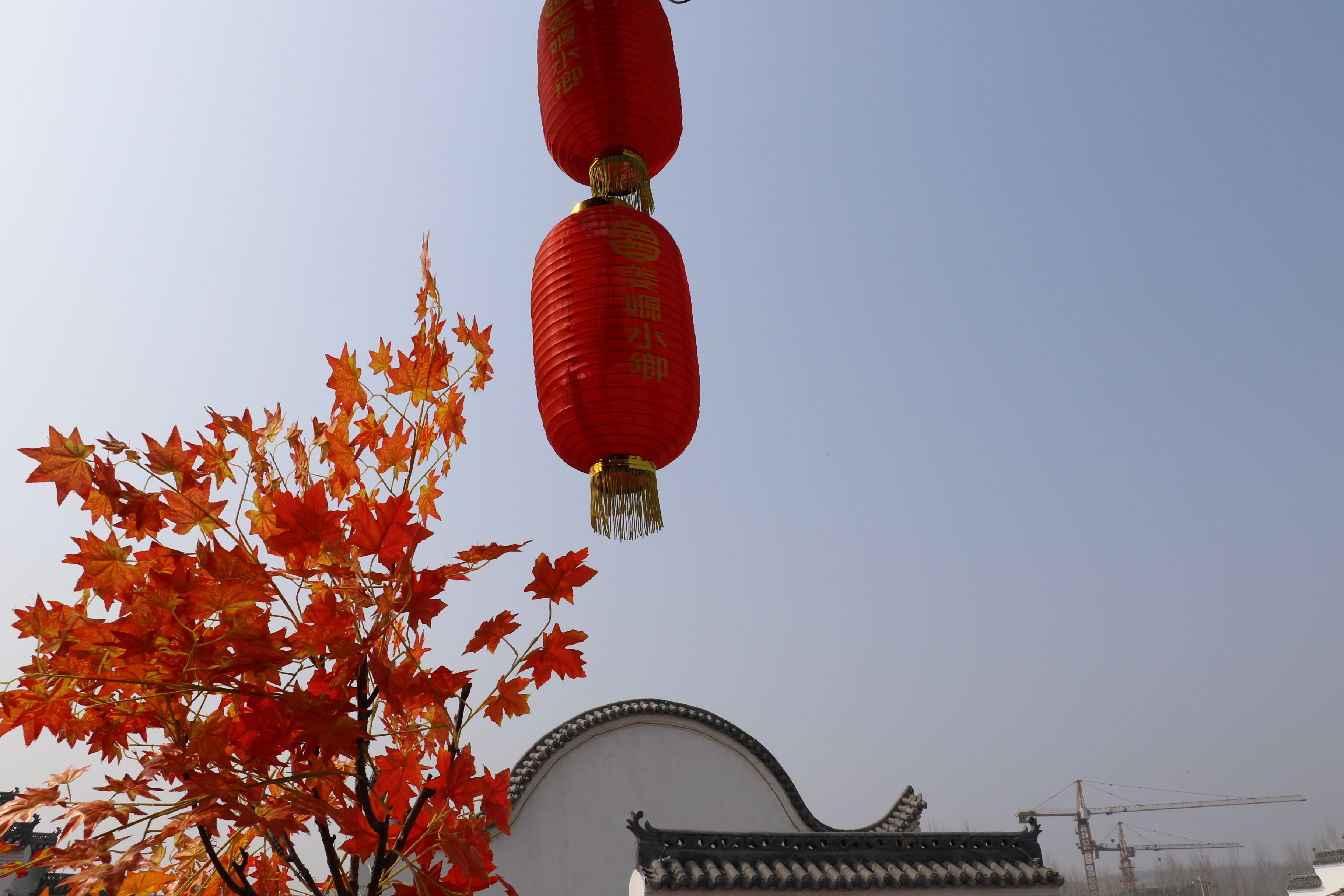 推荐一个好地方姜嫄水乡,姜嫄水乡攻略