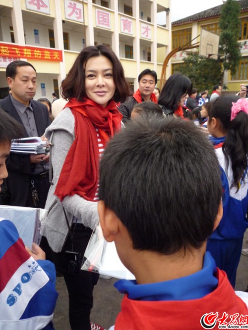 关之琳:因“被塞入两个高尔球无法言说之痛”