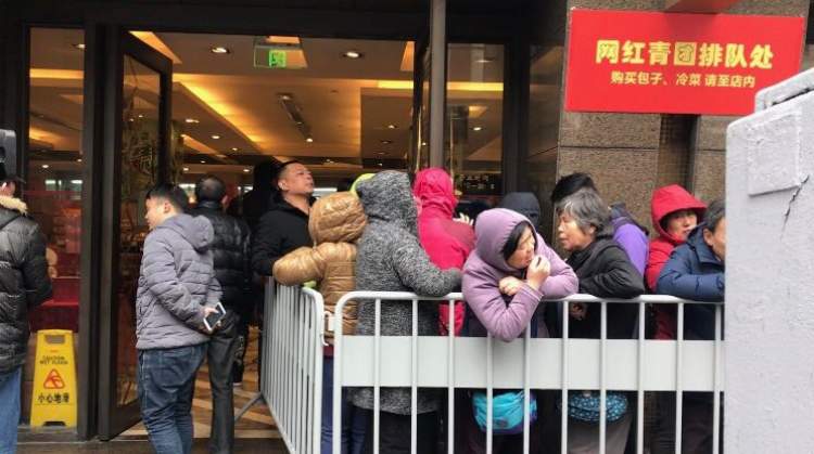青团比拼,排队3小时买的青团