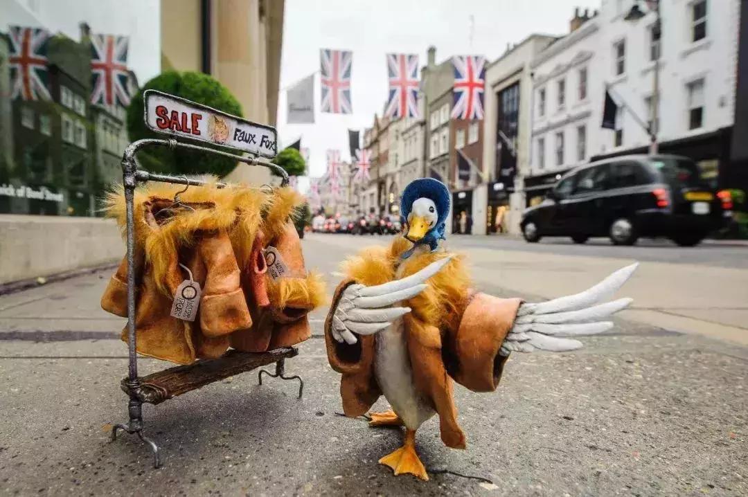 看完比得兔我们能感受到什么变化,看比得兔你学到了什么