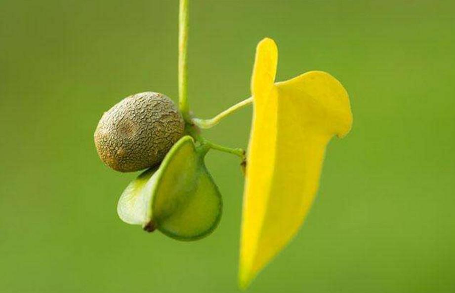 日子的滋味美文,小日子过得不错的美文