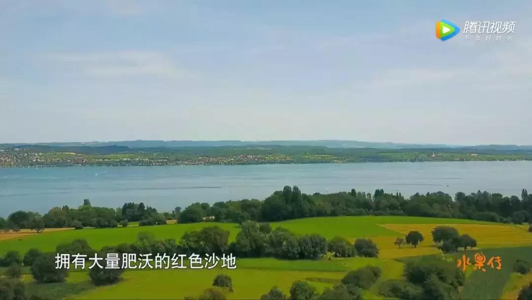 一部看完就想去买水果的纪录片，一次过见识50个城市的奇珍异果！