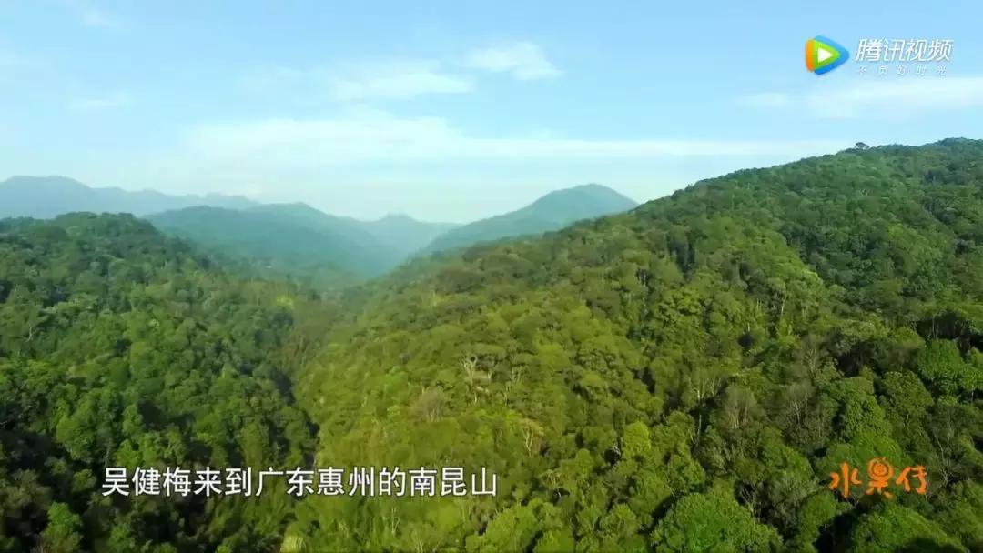 一部看完就想去买水果的纪录片，一次过见识50个城市的奇珍异果！