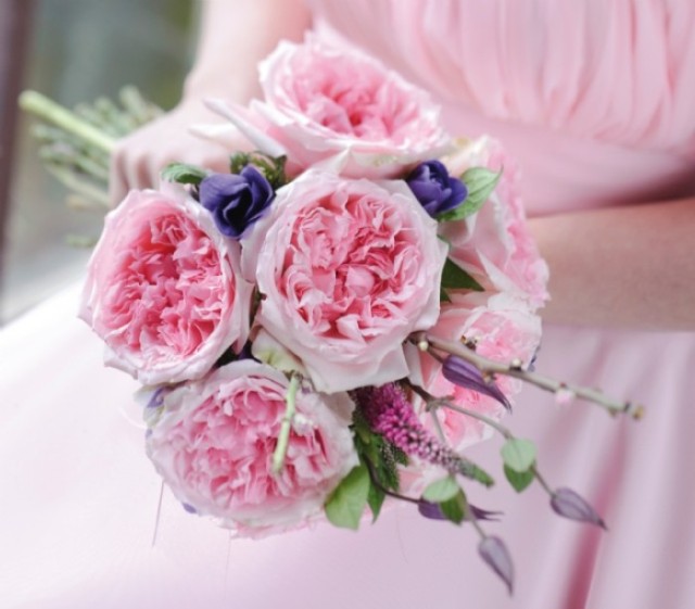 如何养花店买的玫瑰花,如何能养出和花店一样的玫瑰花