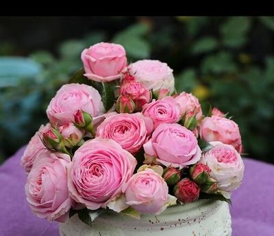 如何养花店买的玫瑰花,如何能养出和花店一样的玫瑰花