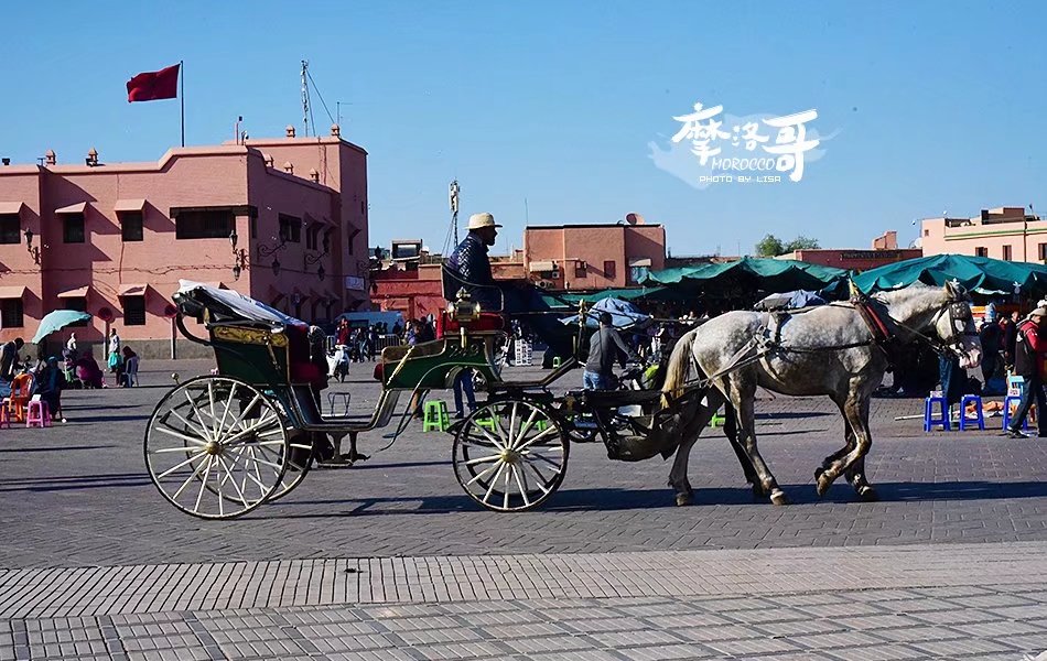 走进摩洛哥,摩洛哥旅游马拉喀什游记