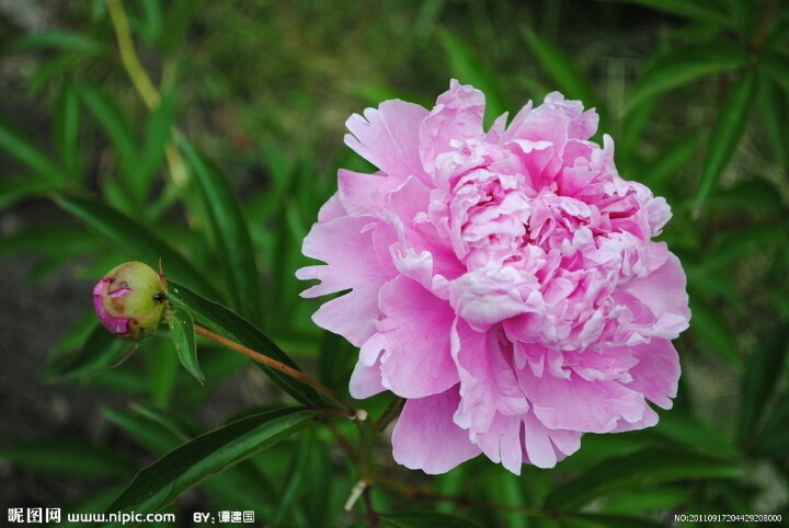 今天29，打开就能幸福久久！幸福相册！请收下给你的祝福哦