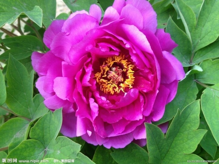 今天29，打开就能幸福久久！幸福相册！请收下给你的祝福哦