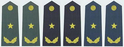 中国军衔和军官资历大全,中国的军官军衔等级