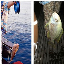 马尔代夫a级浮潜岛有哪些,马尔代夫卡娜丽芙岛浮潜