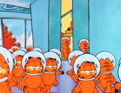 感觉自己养了一只猫是假猫 (你会觉得自己养了一只假猫吗)