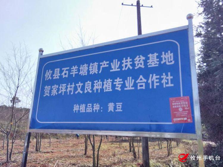 湖南攸县电商扶贫：构建县、乡、村三级物流网络　助力农产品外销