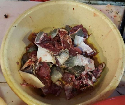 正确的宰龟方法,龟咋杀的