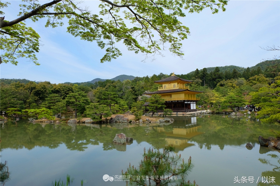 奈良公园喂小鹿视频,日本奈良公园喂小鹿