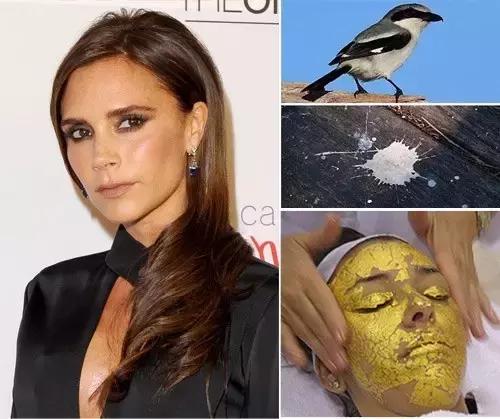 欧美明星教你化妆系列,明星自己化妆步骤新手入门