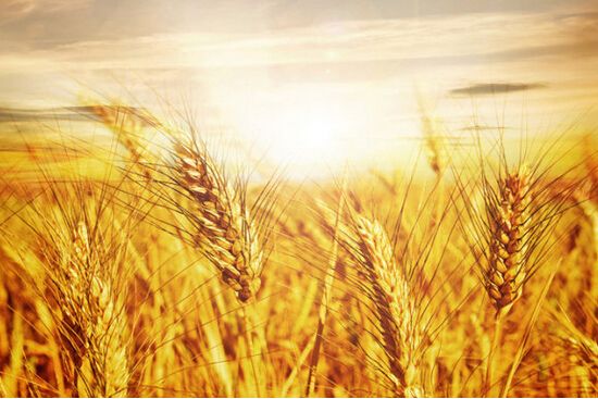 淘宝客有哪些办法推广,淘宝客推广的详细步骤