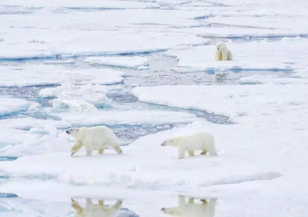 30种在地球“浪”的方式，做过10件，算你牛！