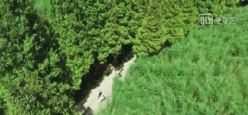 青春旅社的民宿多少钱,青春旅社是哪个民宿