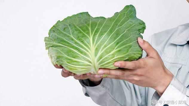 日清泡面小清新广告,日清拉面恶搞周边