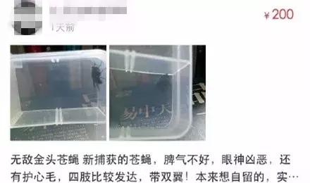 闲鱼上低价商品靠谱吗,某鱼买家下单联系不上买家怎么办