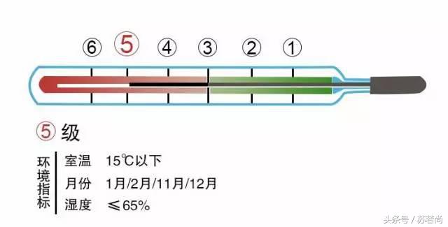 一床被子过一生,一张被子用一辈子
