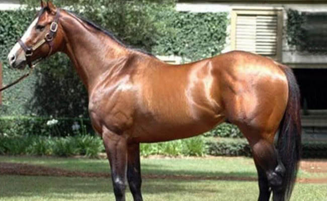 世界上最贵的守宫宠物,全世界最贵的宠物是什么狗