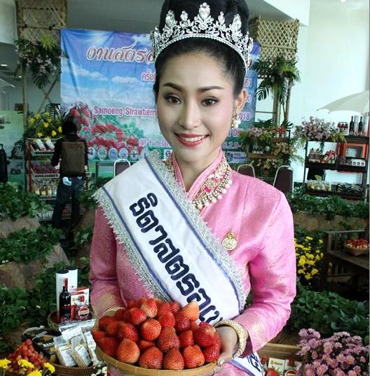 泰国清迈重要节日,清迈12月底的节日