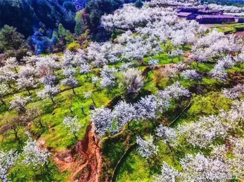 通江是什么地方,什么是通证