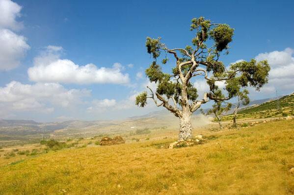 中国是缺水的国家吗,缺水的国家过着怎样的生活