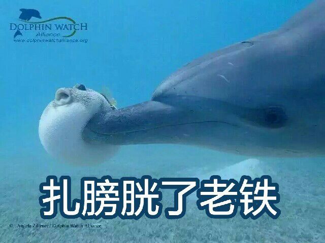 梦是什么现实是什么,梦是什么梦能成真吗