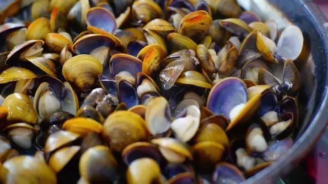 黄沙蚬新会,江门新会黄沙蚬季节