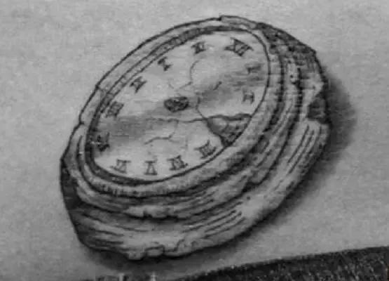 澶栧浗鐩戠嫳鐘汉绾硅韩,缇庡浗鐩戠嫳铚樿洓绾硅韩