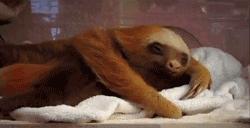 澳洲2021夏令时时间,澳洲时差夏令时和冬令时