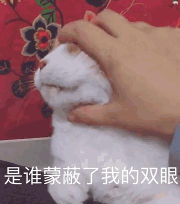 别骗我，这真的是两个字？