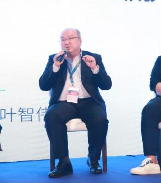 乔治汤米运动,乔治汤米长袖