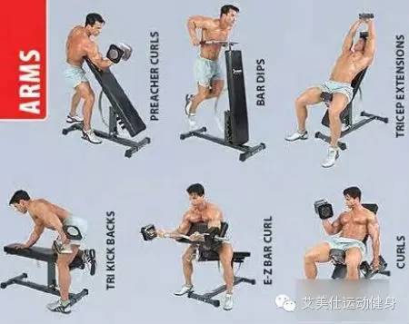 盆底修复哑铃的正确锻炼方法,中学生哑铃的正确锻炼方法