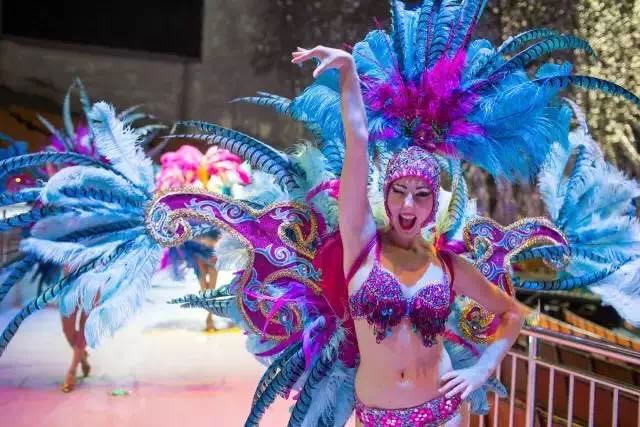 想投食小白虎、赏国际马戏？你有时间，小编有票，周末灵玲走起