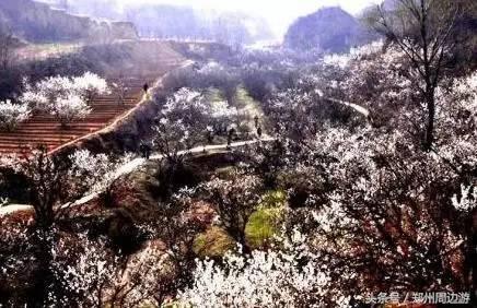 河南安阳自驾游必去的十个景点,河南洛阳周边自驾游免费景点