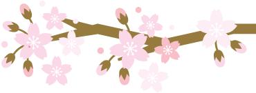 akoya珍珠3-4,akoya珍珠8-8