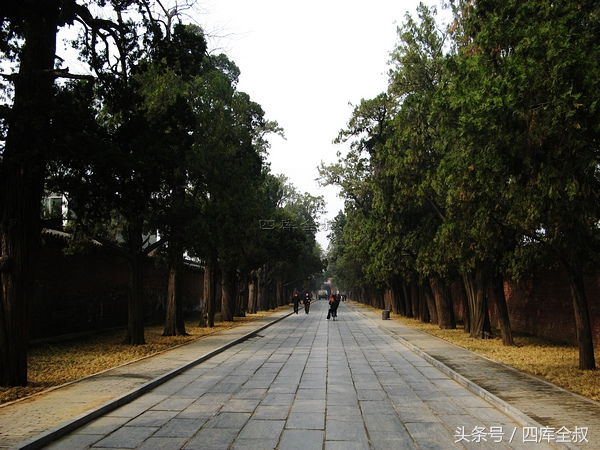 孔林山东曲阜,曲阜孔林古会