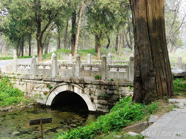 孔林山东曲阜,曲阜孔林古会