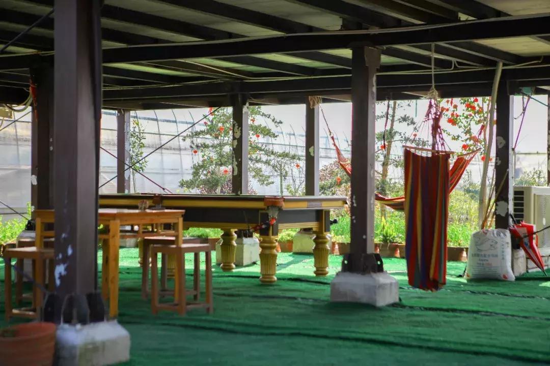 草莓车厘子芒果榴莲菠萝蜜猕猴桃,热带水果芒果榴莲火龙果