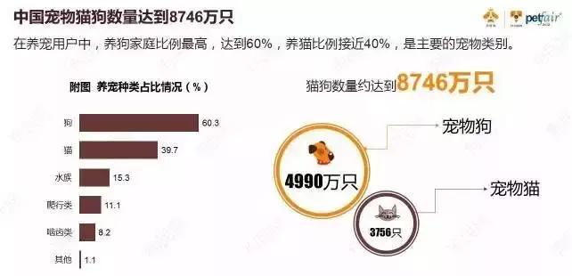 喜欢猫狗的人的心理,喜欢养猫的人心理学